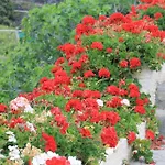 펜션 Finca El Cantero